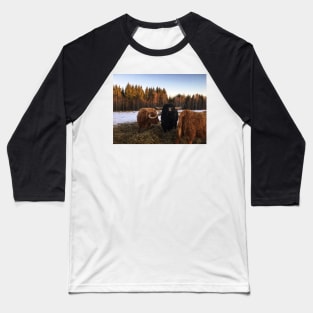Scottish Highland Cattle Cow and Bull 2199 Baseball T-Shirt